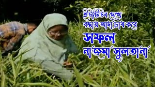 পাহাড়ের পতিত জায়গায় বস্তায় আদা চাষ করে সফল নাজমা সুলতানা - Around of Bengal