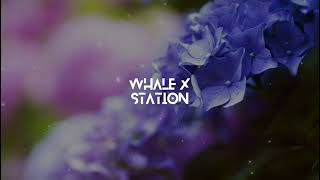 Blxst - Overrated | Whale X Station |