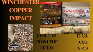 Winchester Copper Impact Review For Both 12 GA and 20 GA - Results From the Field!