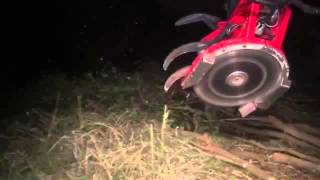 Hout oogsten Brushcutter 29 oktober 2015