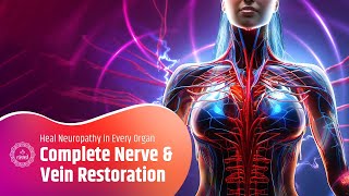 Complete Nerve and Vein Restoration | Reclaim Blood Flow & Heal Neuropathy in Every Muscle & Organ