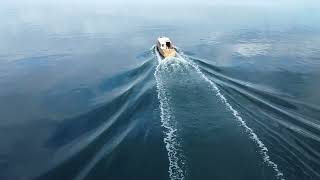 Classic wooden boat, built in pine, oak, teak and mahogany.