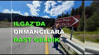 ILGAZ MİLLİ PARKI ORMANCILARIN İLGİNÇ ÇALIŞMASI