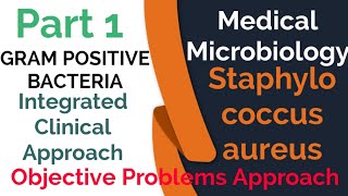 Staphylococcus aureus | Microbiology Lectures | Staphylococcus aureus and MRSA characteristics