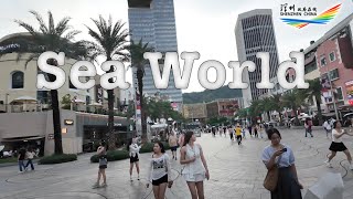 Discover Sea World in Shenzhen: A Place You Need to Visit!