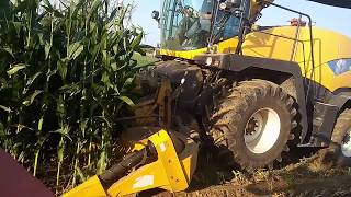 Kukurydza 2019 | 3x Ursus c-360| MTZ 82| Pronar 1221A| New Holland  FR9040|