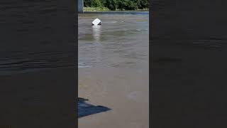 There was a fridge floating down missouri river!!