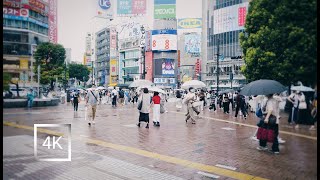 Japan | Exploring on "Shibuya" after rain in Tokyo. | 4K