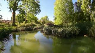 Nacimiento canal de Castilla