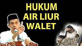 HUKUM AIR LIUR WALET !! Apakah Air Liur Walet Haram - Ustadz Abdul Somad, Lc  MA