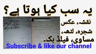 What is this all, Naqsha||aks shajra||masavi||latha||field book || by qanoon a patwar