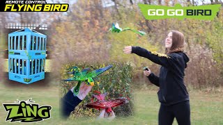 Bird Drone - Go Go Bird - RC Flying Birds by Zing