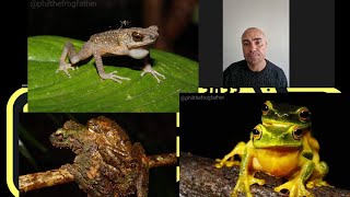 Australian Deforestation and Impacts on The Frogs