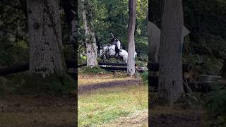 Jimmy’s first ever hunter trial! #equestrian #horse #horseriding #hunter trial