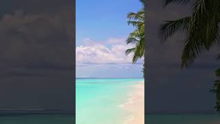 Tropical Tranquility: Chill-Out Beach Music for Stress Relief and Mindful Relaxation