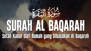 Surah Al Baqarah سورة البقرة Dengan Suara Indah Membuat Hati Tenang | Maged Aldaoos