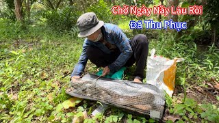 Thăm Cử Nầy Mới Dính CON RẮN Trời Mưa Có Nồi Cháo Gia Đình. Visit the New Trap and Get This SNAKE