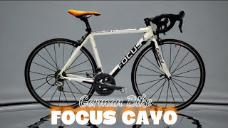 FOCUS CAYO CARBON ROADBIKE