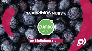 Nuevo Jumbo Mallplaza Trébol