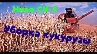 Уборка кукурузы 2015 Нива СК-5 и Газ 3307 /Mowing of corn 2015 the NIVA СК- 5 and GAZ 3307