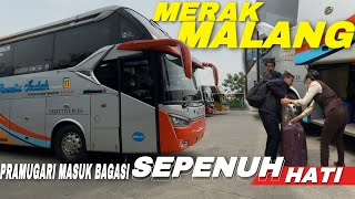 SAMPEK MASUK DALEM BAGASI‼️PRAMUGARI BIS ROSALIA INDAH LUAR BIASA BIKIN BAPER