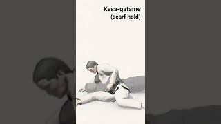 # kesa-gatame #judo #scarf hold#osae waza