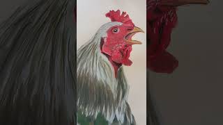 Cock #painting #art #postercolour #brushstrokes #birds #brushpainting