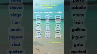 los animales en kaqchikel, aprendiendo idioma kaqchikel, speak kaqchikel#guatemala #neryspanish#usa