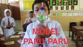 MODEL PARU-PARU (ALAT PERNAPASAN MANUSIA) #mediapembelajaran #pendidikan #kudus #sekolah