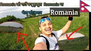 आज रोमानियाको गाउँ पनि घुमेउ आयो। नेपलको याद मित्यो।  Romania मा भेडा को बथान ।