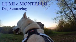 Dog Scootering - Lumi e Montello - 7 Nov 2021