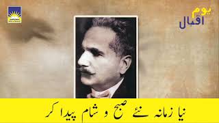 Tribute to the Architect of Pakistan's Vision! Happy Iqbal Day | 9 November | Dar-e-Arqam Schools