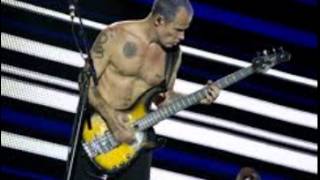 Call them Flea's bees Chili Peppers bassist has apiary