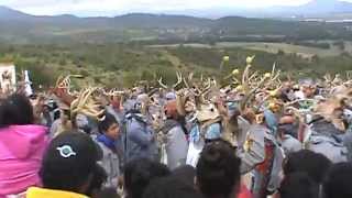 Danza de los tigres en la capilla ,..Coeneo 2014