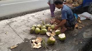 Cara ngupas kelapa muda degan pedagang pasar