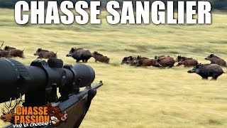 Chasse Sanglier 2014 - Une journée magnifique !