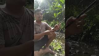 Micro fishing joran bambu micro  #mancing #microfhising #fishing