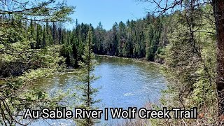 A Beautiful Day For A Hike Along the Au Sable River On The Wolf Creek Trail / Mio Michigan