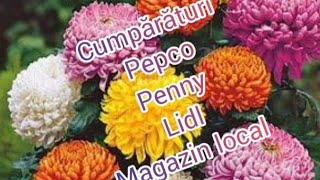 Cumpărături PEPCO/Penny/Lidl/ magazin local