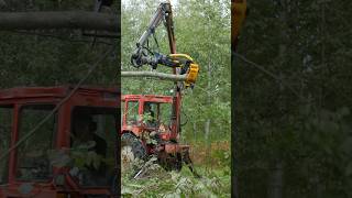 Old Belarus 525 cutting trees with TMK 150-H 😳#oldtractor #belarus #forestry #machinery