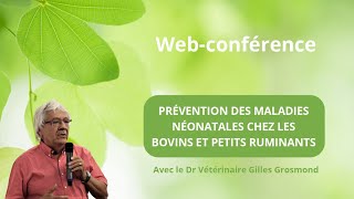 Web-Conférence : Prévention des maladies néonatales chez les bovins et les petits ruminants