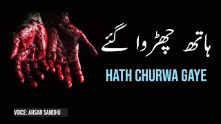 Dost Hath Churwa Gaye By RJ Shari Punjabi Shayari Best Whatsapp Status 2022