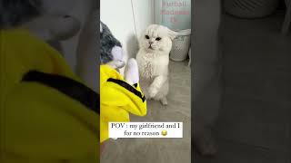 Funny Animals Videos 🤣 | Ep. 533 #shorts #viral #funny