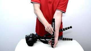 ZOMEi Z669C Portable Carbon Tripod Monopod Kit & Ball Head Compact for Canon Sony, Nikon, Sa Reviews