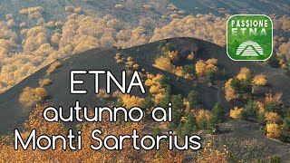 Etna - Autunno ai Monti Sartorius