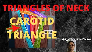 110.Triangle of  neck anatomy #anterior  triangle  neck  # Carotid triangle  #anatomylectures