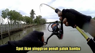 Mancing di muara dekat patok bambu tempat ikan bersarang - strike sampai puasssss