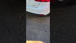 2104 Ford Focus With An Unequal Length Header Exhaust Sound