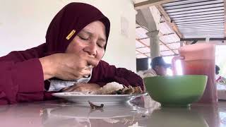 Jalan jalan!makan nasi keli nirvana@mama lynna