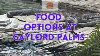 Food Options at Gaylord Palms